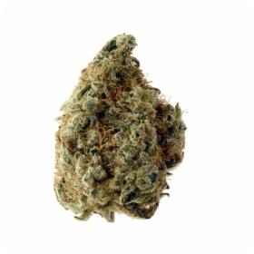 White Choco Feminised Seeds White Choco Feminised Seeds