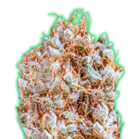 Zkittles Monster