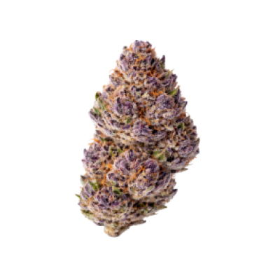Unicorn Wagyu Auto Flowering Cannabis Seeds 7