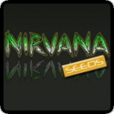 Nirvana Cannabis Seeds Breeder