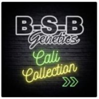 BSBs Cali Collection