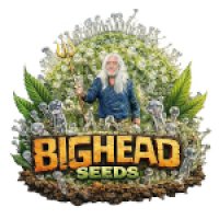 Bighead Seeds