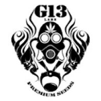 G13 Labs
