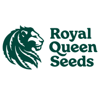 Royal Queen Seeds