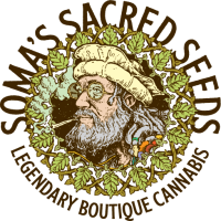 Soma Seeds