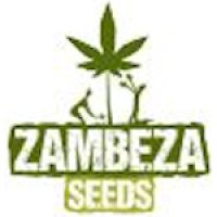 Zambeza Seeds