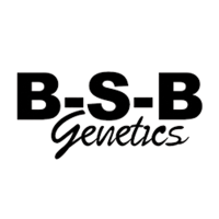 Bsb Genetics