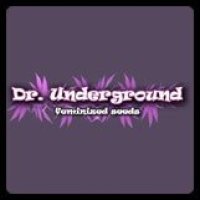 Dr Underground