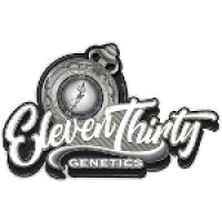 Eleven Thirty Seeds