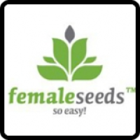 Female Seeds