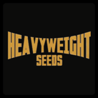 Heavyweight Seeds