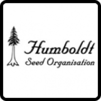 Humboldt Seed Organization