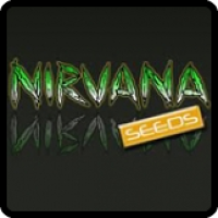 Nirvana Seeds