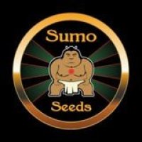 Sumo Seeds