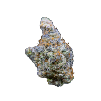 Growers  Choice  Cannabis  Seeds  Limited  Edition  Mimosa  Gusher