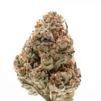 Growers  Choice  Cannabis  Seeds  Octane  Fire  Og