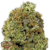 Heavyweight  Cannabis  Seeds  Wipeout  Express  Auto