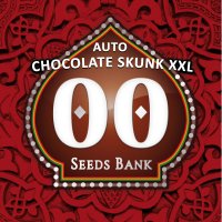 Oo  Cannabis  Seeds  Auto  Chocolate  Skunk  Xxl