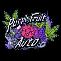 Sumo  Cannabis  Seeds  Purple  Fruit  Auto