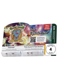Sweet Cannabis Seeds Terp Explosion Mix