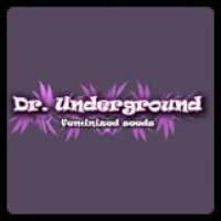 Dr Underground