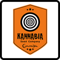 Kannabia Kannabia