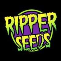 Ripper Seeds