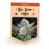 Blue  Dream  Feminised  Cannabis  Seeds  Jpg