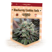 Blueberry Cookies Auto Feminised Seeds