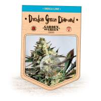 Dresden Green Diamond Feminised Seeds