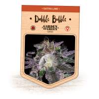 Dubble Bubble Feminised Seeds