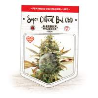 Super Critical Bud CBD Feminised Seeds