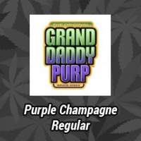 Purple Champagne Regular Seeds