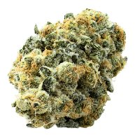 Black  Zushi  Feminised  Cannabis  Seeds