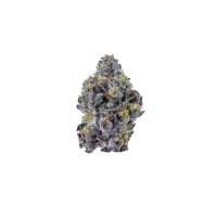 Sticky  Wasabi  T R I P L O I D  Feminised  Cannabis  Seeds