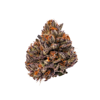 Tropicana  Cherry  Triploid
