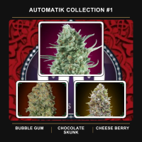 Automatik  Collection 1  Feminised  Auto  Flowering  Cannabis  Seeds