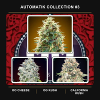 Automatik  Collection 3  Auto  Feminised  Auto  Flowering  Cannabis  Seeds