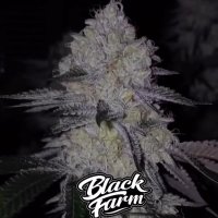 Black  Farm  Genetix  Acai  Cake
