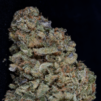 Classic  Line  Gorilla  Zkittlez  Feminised  Cannabis  Seeds