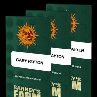 Gary  Payton  Feminised  Cannabis  Seeds