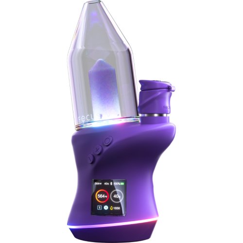 Focus  V  Carta 2  Grape